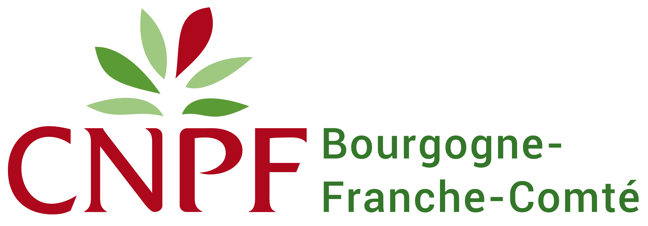 logo cnpf